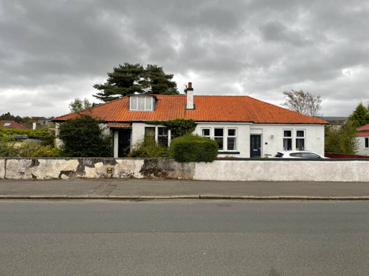 Visual Contrast: Captivating Photos Speaking Louder Than Words