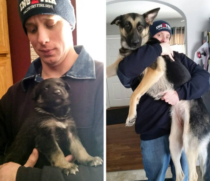 Visual Contrast: Captivating Photos Speaking Louder Than Words