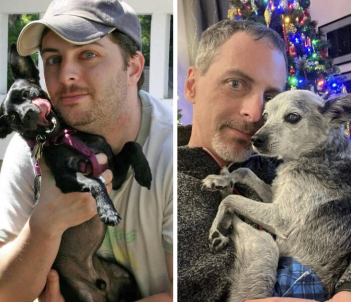 Visual Contrast: Captivating Photos Speaking Louder Than Words