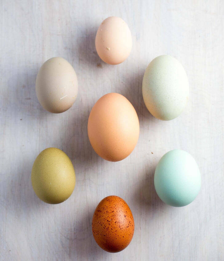 Visual Contrast: Captivating Photos Speaking Louder Than Words