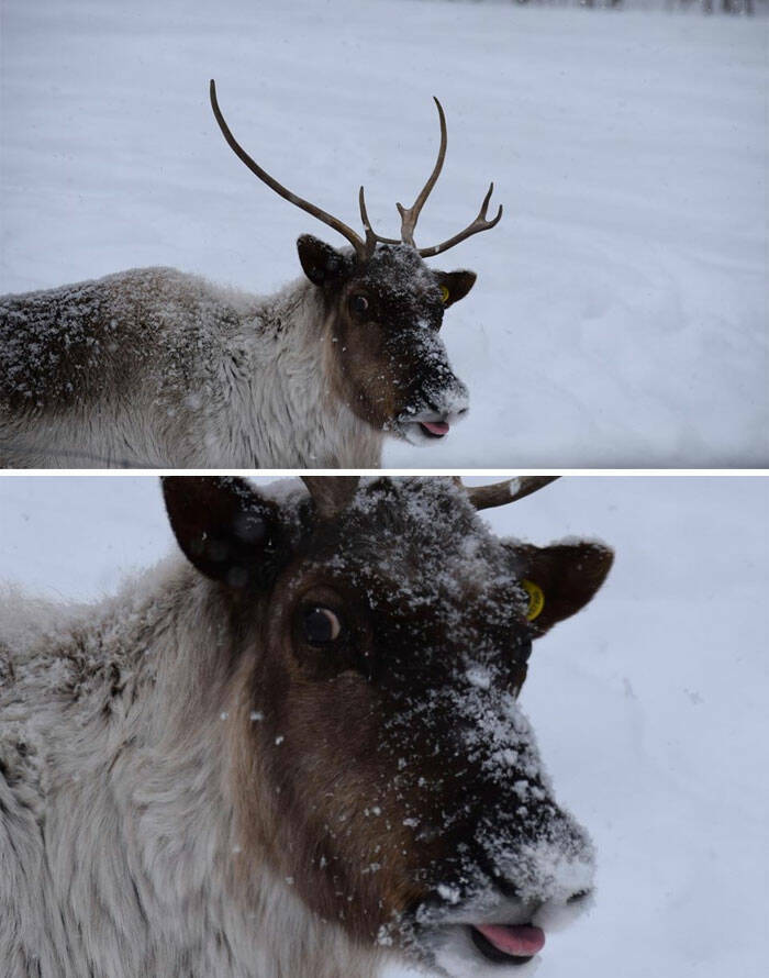 Wildlife Photos That Embrace Their Awkwardness