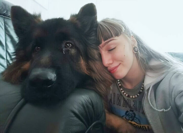 Gentle Giants Unleashed: Massive Dogs Living Large And Loving It