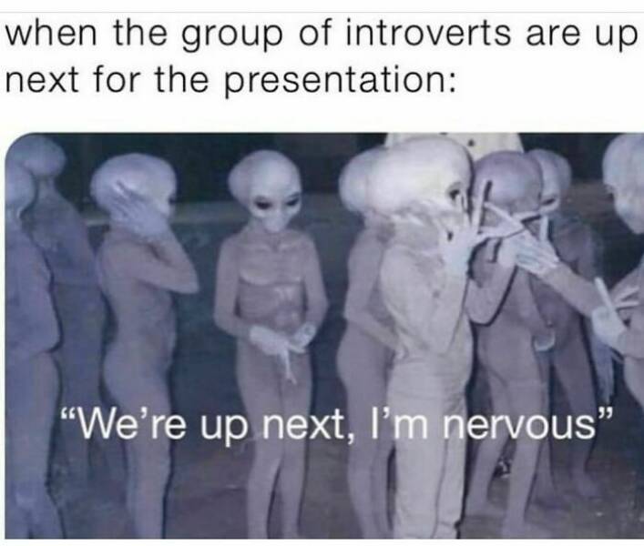 Solo Sanctuary: Introvert Memes Celebrating Me-Time Bliss