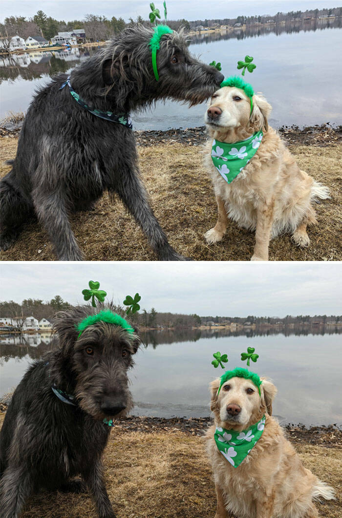 Heartwarming And Hilarious Saint Patricks Day Moments