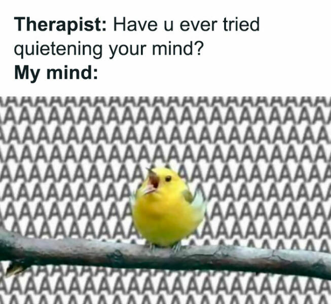 Therapeutic Humor: Memes That Speak To The Soul