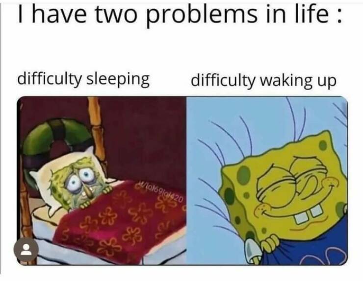Memes That Hit Too Close To Home: Capturing Relatable Moments