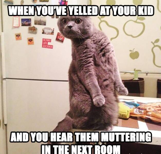 Parenting Humor: Memes That Show Youre Not Alone In The Parenthood Journey