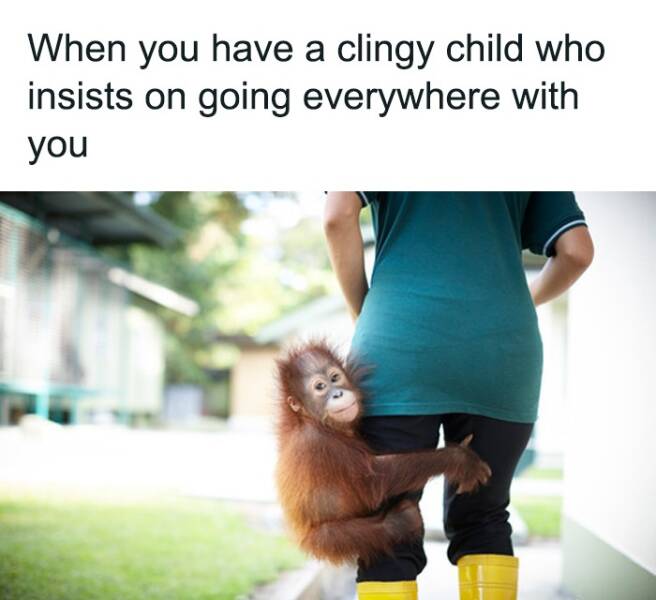 Parenting Humor: Memes That Show Youre Not Alone In The Parenthood Journey