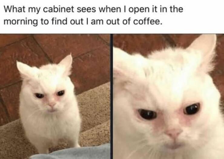 Funny Coffee Memes To Start Your Day