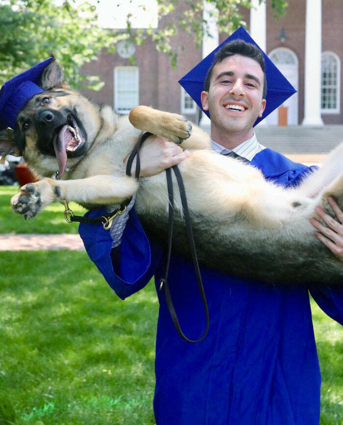 Graduation Giggles: Hilarious Moments Of Creative Celebration