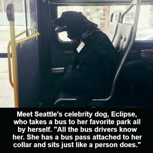 Heartwarming Highlights: Posts That Renew Your Faith In Humanity