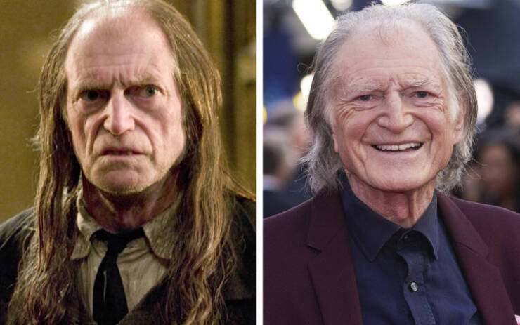 Magical Transformations: Harry Potter Actors Then And Now