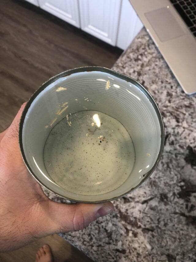 Mildly Intriguing Snaps: Photos That Catch Your Eye For A Moment