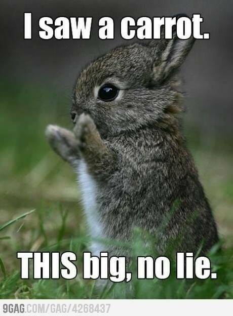 Hoppy Humor: Bunny Memes To Brighten Your Easter
