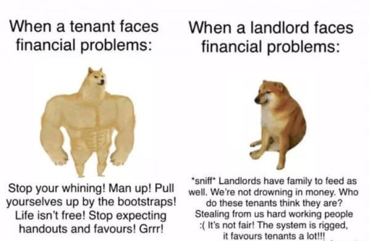 Rental Realities: Memes That Capture The Humor Of Tenant Life