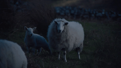 Unsettling Realities: Delving Into The World Of Creepy Facts