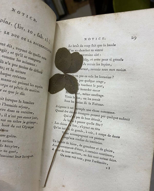 Easter Egg Expedition: Hunting For Hidden Treasures