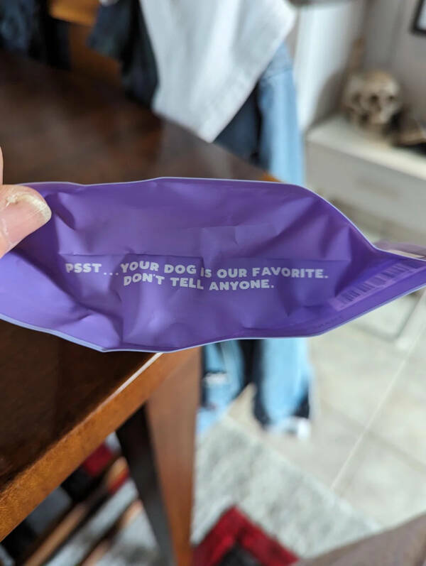 Easter Egg Expedition: Hunting For Hidden Treasures