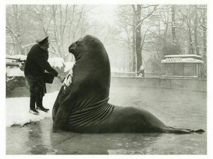 Time Capsule Snapshots: Fascinating Glimpses Into History