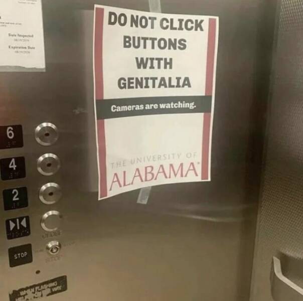 Wild And Wacky: Signs That Will Have You Laughing Out Loud