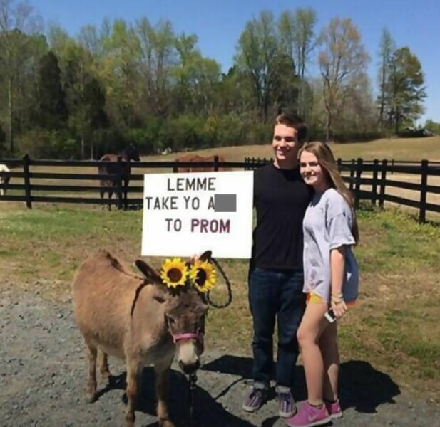 Wild And Wacky: Signs That Will Have You Laughing Out Loud