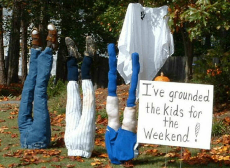 Wild And Wacky: Signs That Will Have You Laughing Out Loud