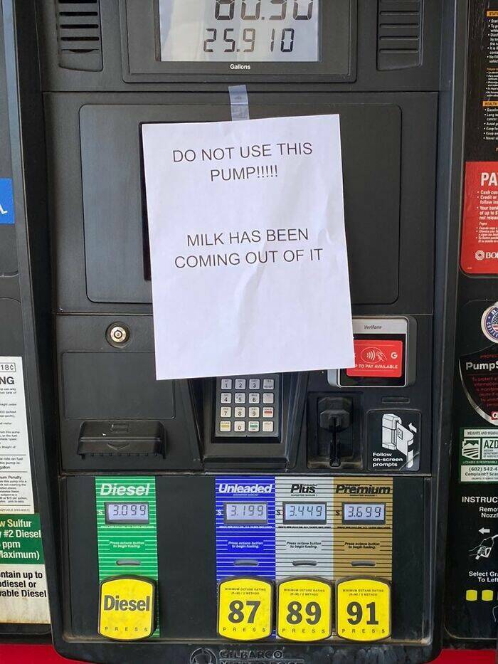 Wild And Wacky: Signs That Will Have You Laughing Out Loud