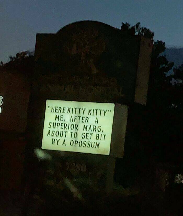 Wild And Wacky: Signs That Will Have You Laughing Out Loud