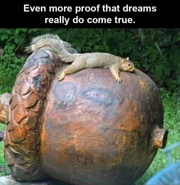 Funny Picdump