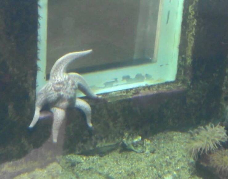 Morning Picdump