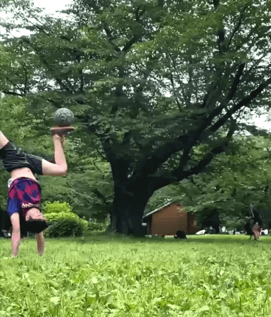 Epic Fails That Defy Expectations