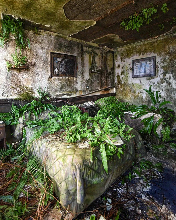 Exploring Forgotten Worlds: Intriguing Abandoned Destinations