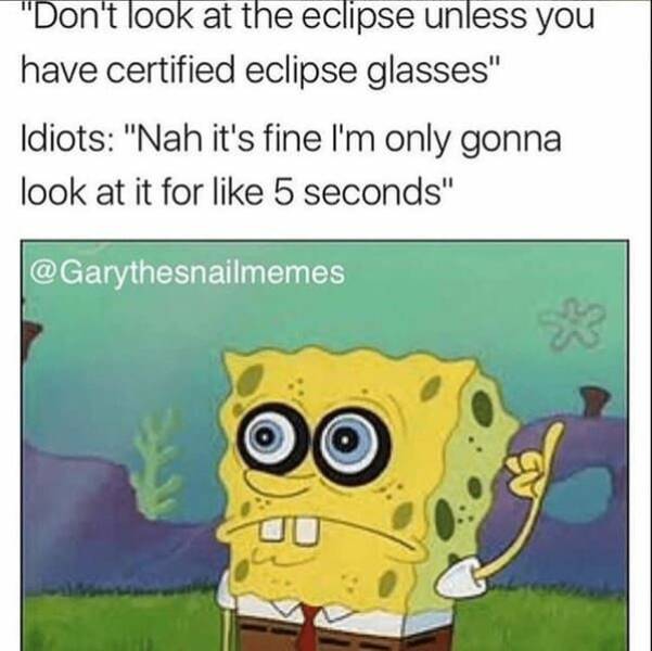 Solar Eclipse Humor: Memes To Make You Smile In The Dark