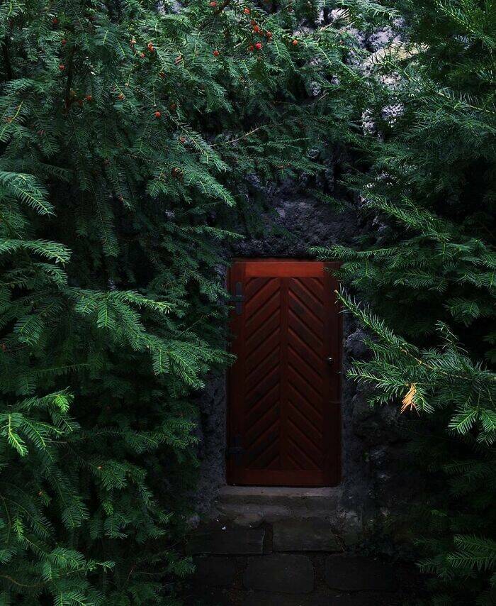 Unexpected Entrances: Door Designs That Captivated Passersby
