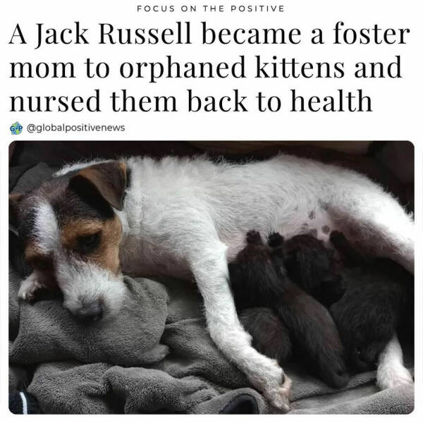 Uplifting Stories: Global Positive News That Warms The Heart