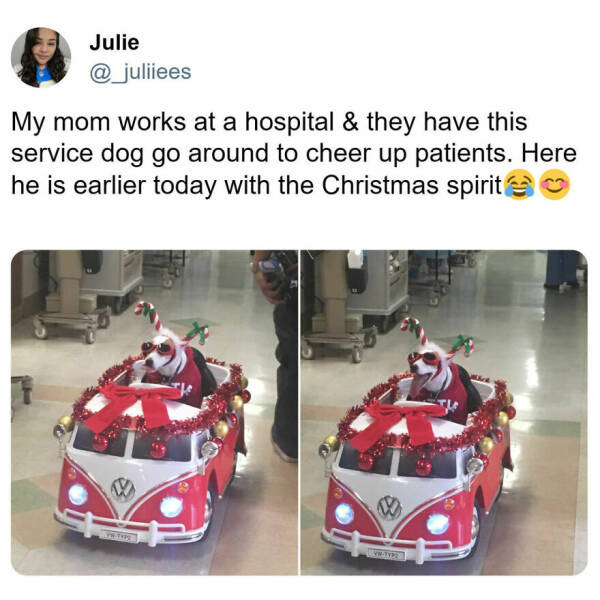 Uplifting Stories: Global Positive News That Warms The Heart