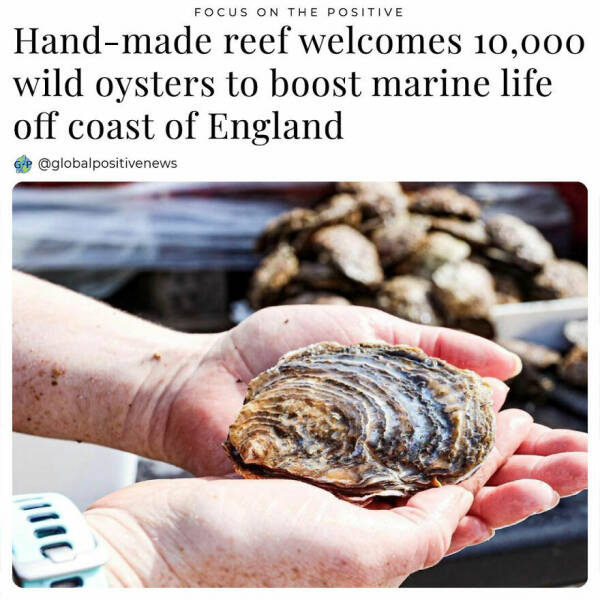 Uplifting Stories: Global Positive News That Warms The Heart