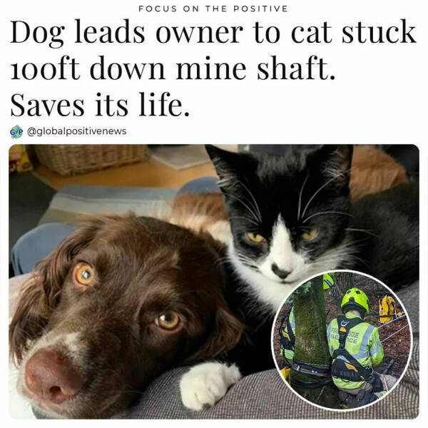 Uplifting Stories: Global Positive News That Warms The Heart