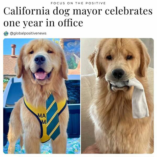 Uplifting Stories: Global Positive News That Warms The Heart