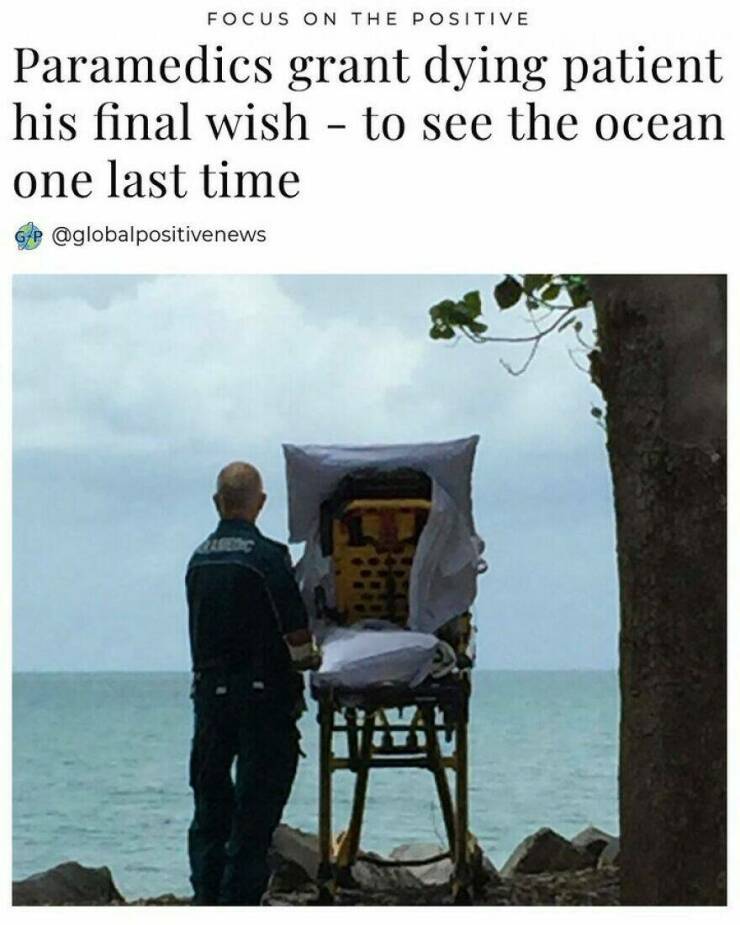 Uplifting Stories: Global Positive News That Warms The Heart