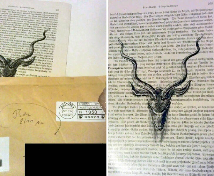 Creepy Communique: Stories Of Unsettling Mail From Others