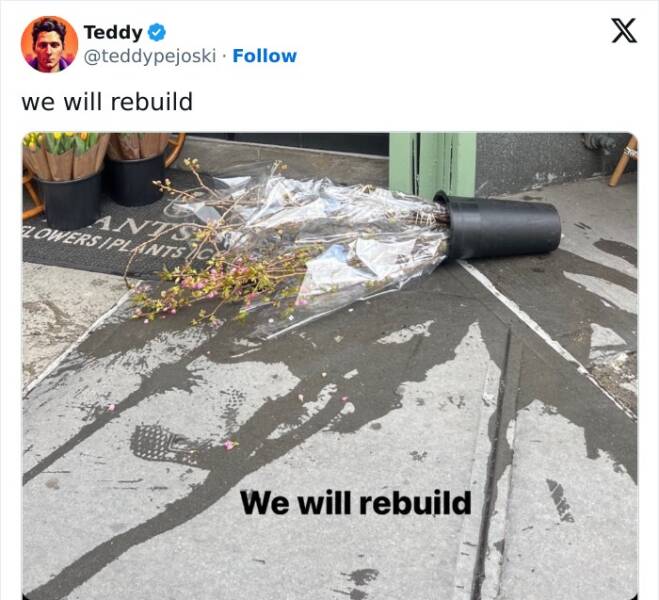 Laughing Through Disaster: The Hilarious We Will Rebuild Trend After The East Coast Earthquake