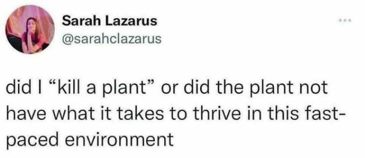 Laugh To Keep From Crying: Spot-On Memes About Toxic Jobs