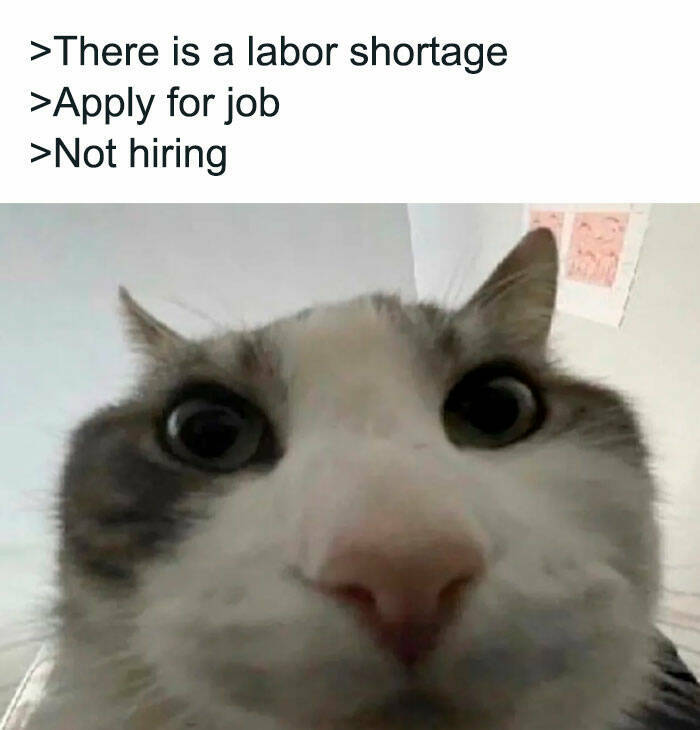 Laugh To Keep From Crying: Spot-On Memes About Toxic Jobs