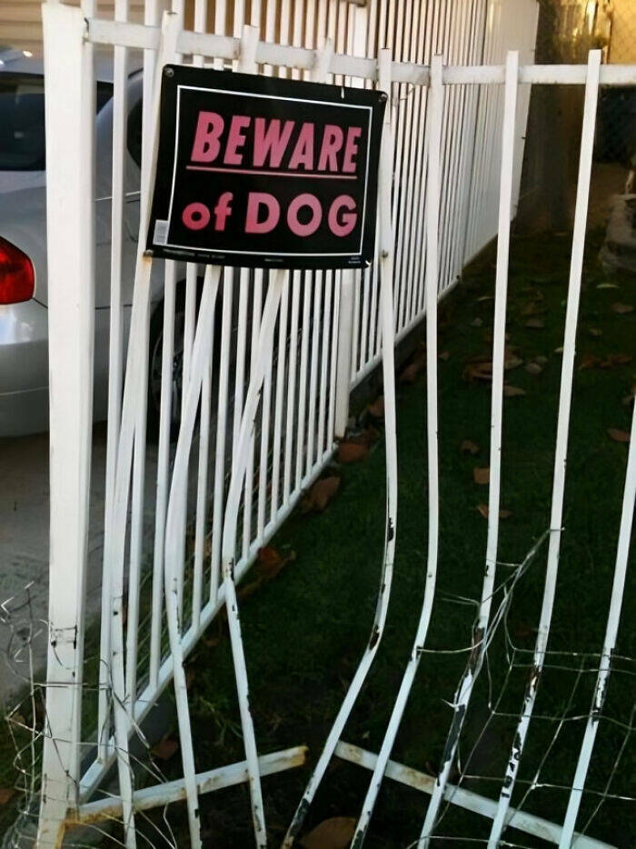 Signs Of Humor: Unexpectedly Amusing Public Notices