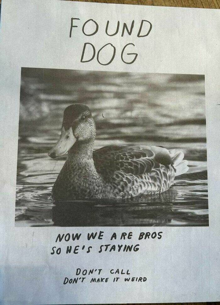 Signs Of Humor: Unexpectedly Amusing Public Notices