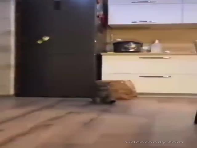 Unexpected Attack
