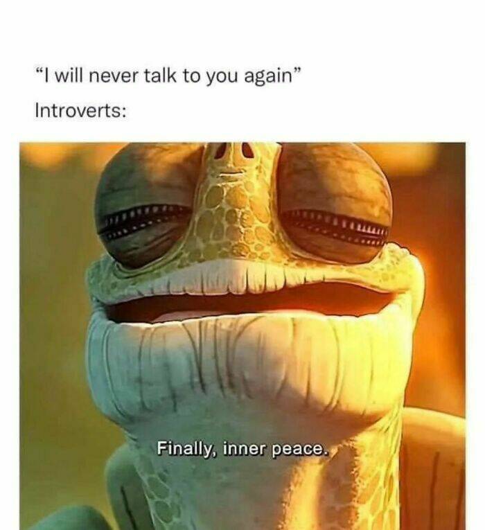 Quietly Relatable: Memes That Speak To Introverts Everywhere