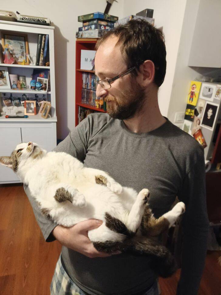 Pets Who Seem To Have Lost Their Way