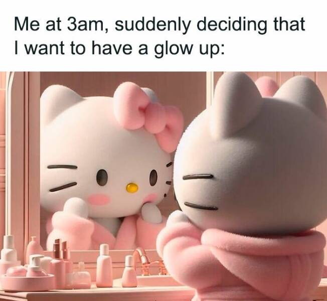 Spot-On: Memes Reflecting The Daily Struggles Of Modern Women
